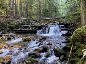 Hiking Riondel Historic Waterline Trail